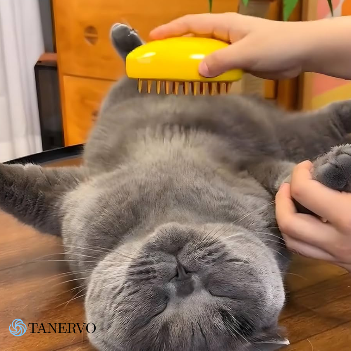 Cepillo de vapor 3 en 1 para mascotas